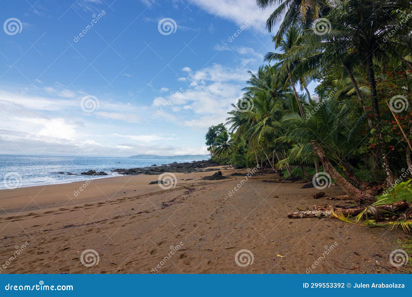 Beach and Forest of Drake Bay (Costa Rica) Stock Photo - Image of ...