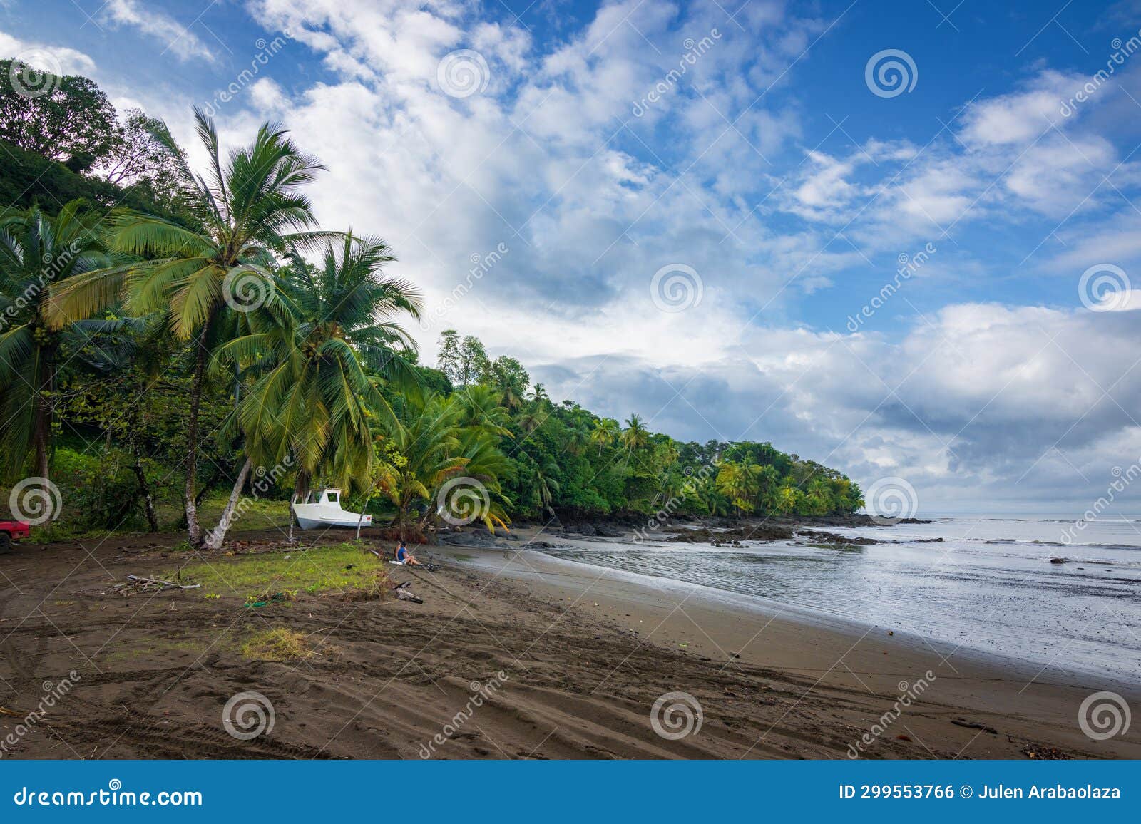 Beach and Forest of Drake Bay (Costa Rica) Stock Photo - Image of costa ...