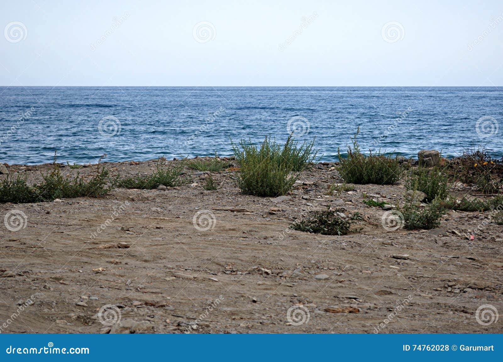 Beach, herb and sea stock photo. Image of green, grass 74762028