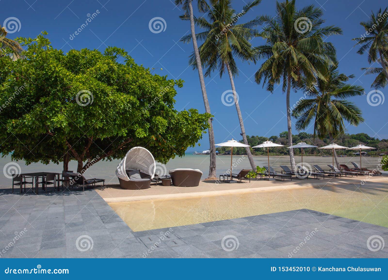 Beach Holidays Luxury Swimming Pool With Palm Trees Stock Photo Beach Holidays Luxury Swimming Pool With Palm Trees Stock Photo