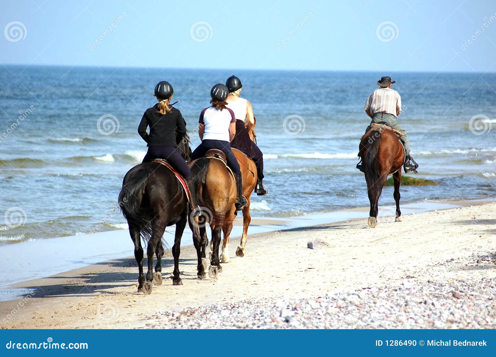 Beach horseriding stock photo. Image of vacation, stallion 1286490
