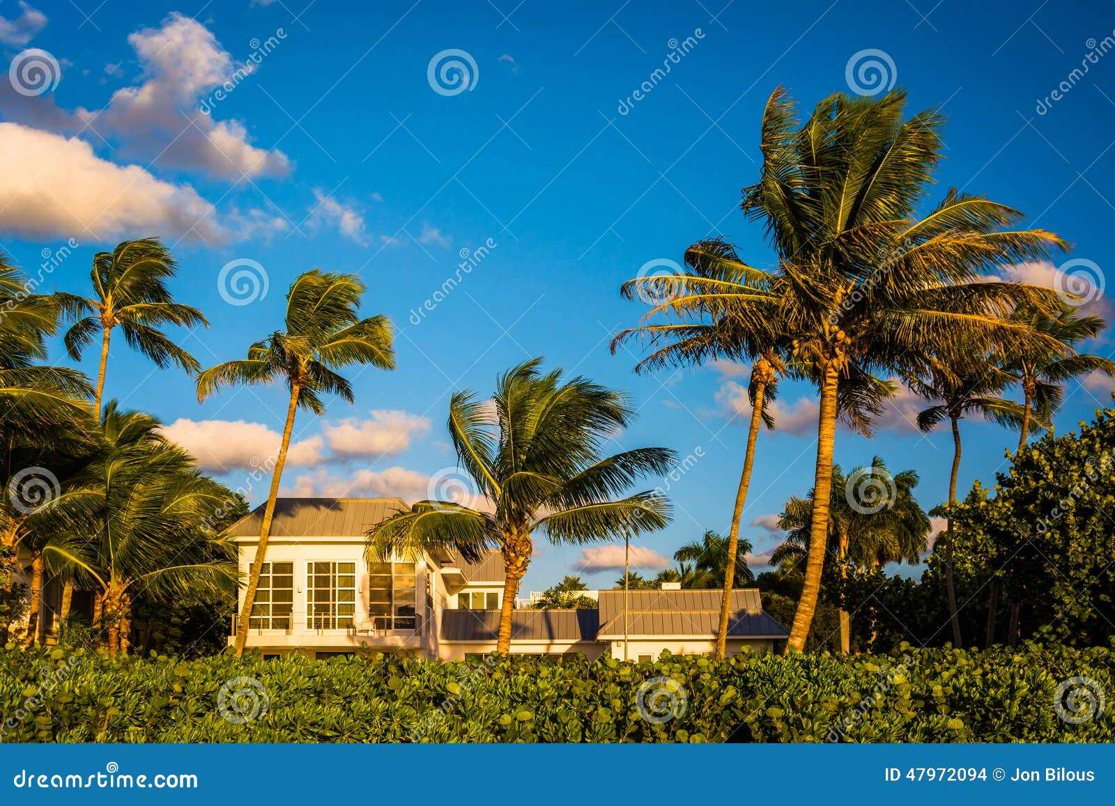 Palm Beach Florida House Prices Palm Beach Florida House Prices