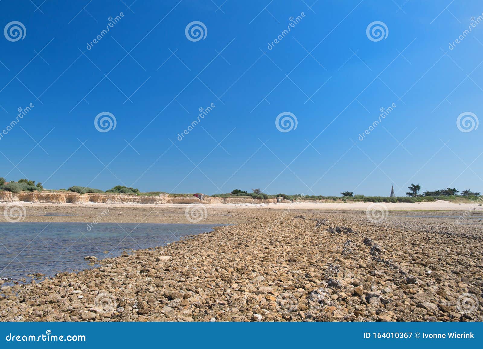 Beach Ile de Re ebb ty imagem de stock. Imagem de musgo - 164010367