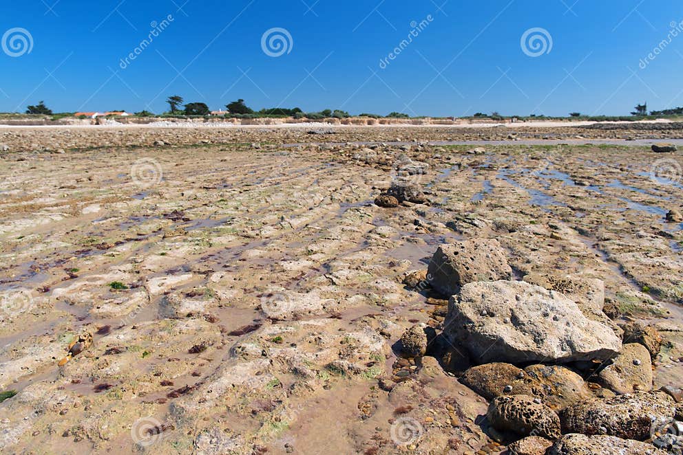 Beach Ile de Re ebb ty stock image. Image of horizon - 155867071