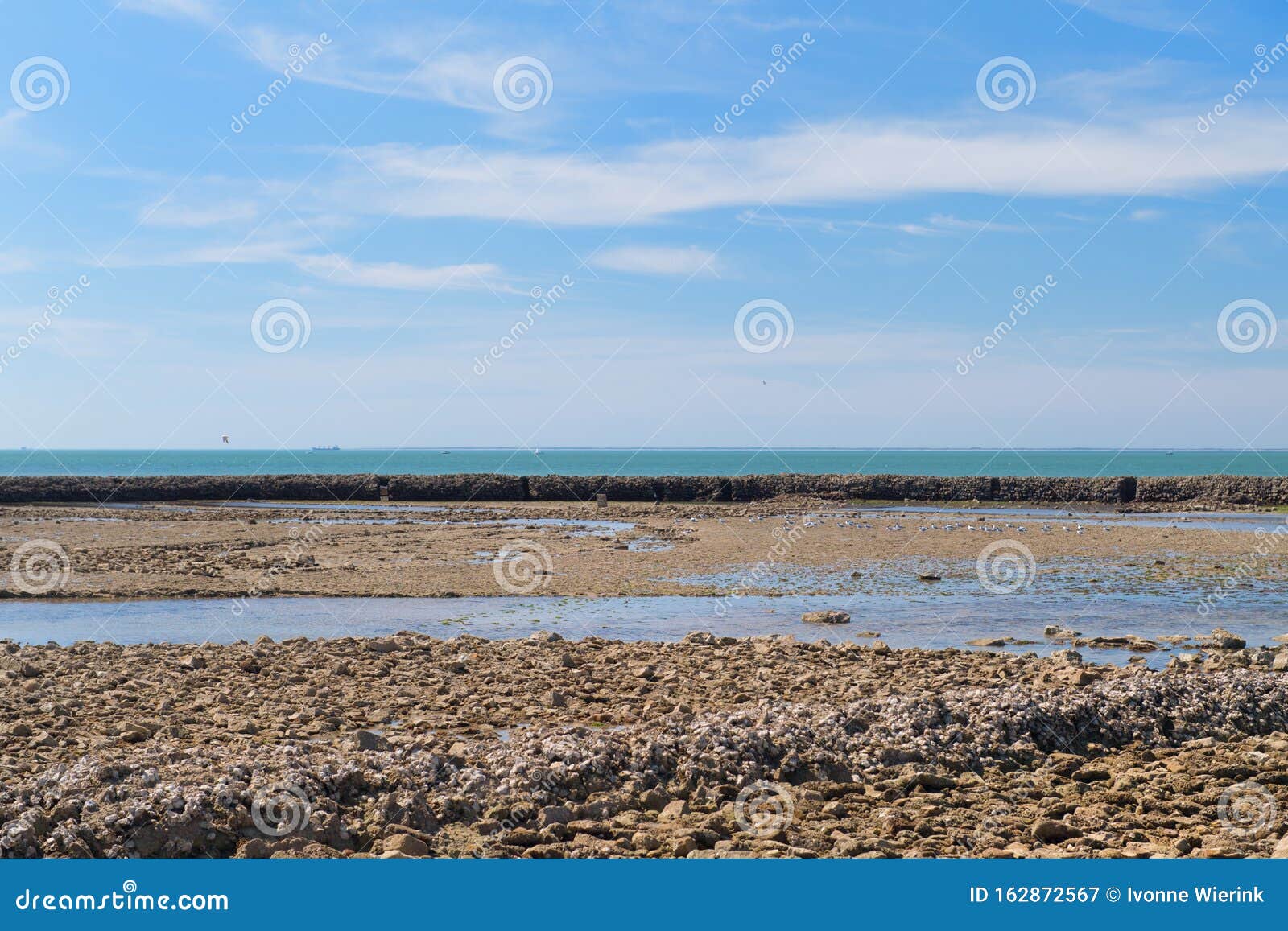 Beach Ile de Re ebb ty stockbild. Bild von kiesel, heiliger - 162872567