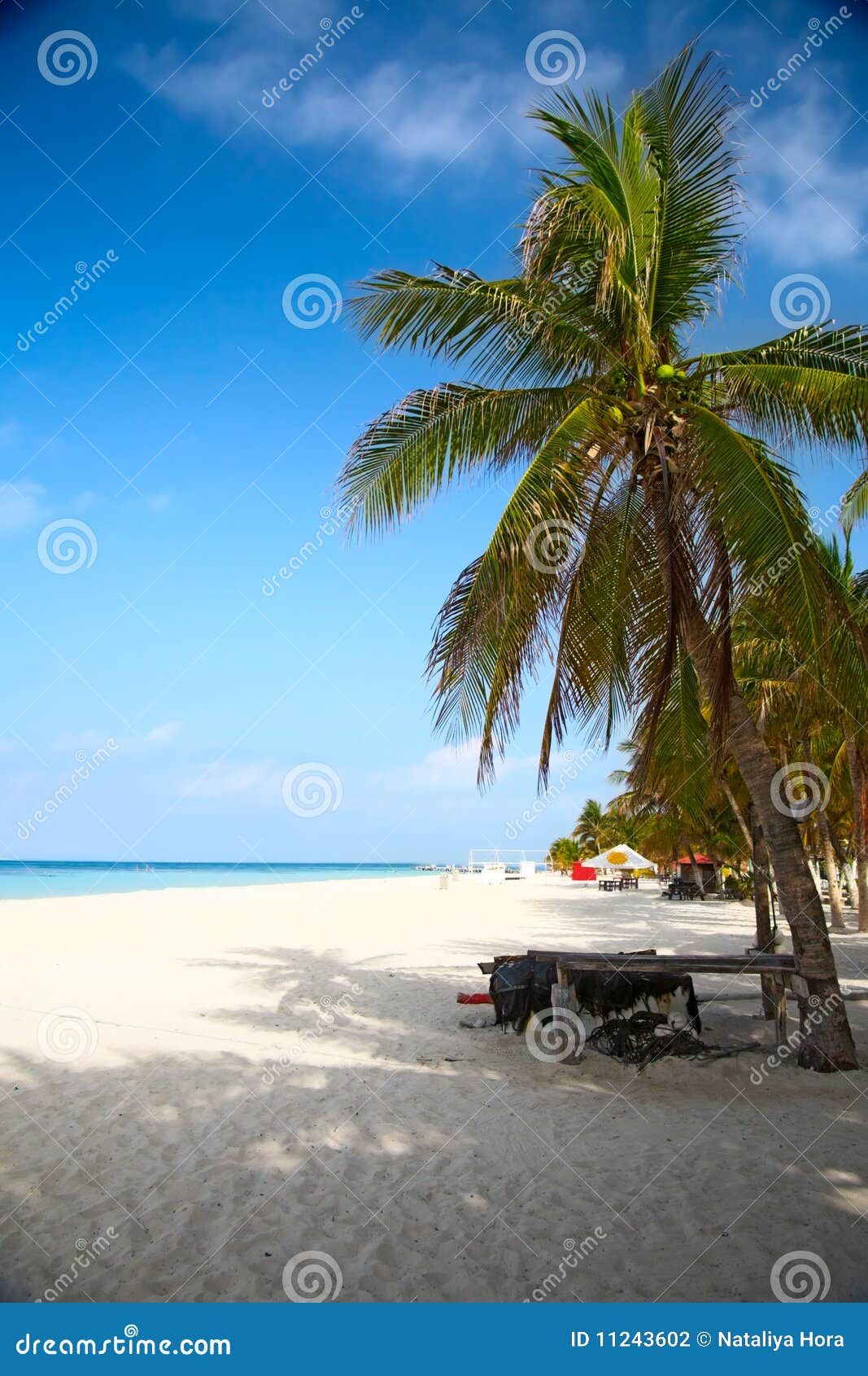 beach on the isla mujeres