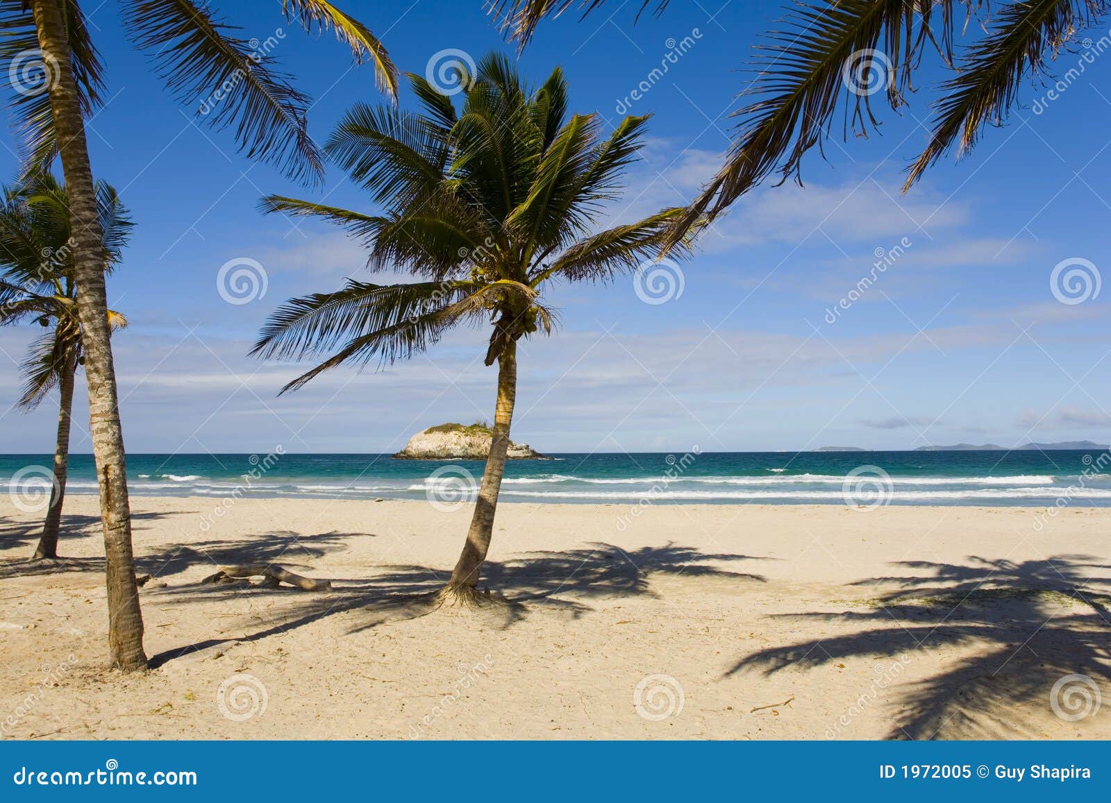 Beach on island Margarita stock image. Image of view, palm 1972005