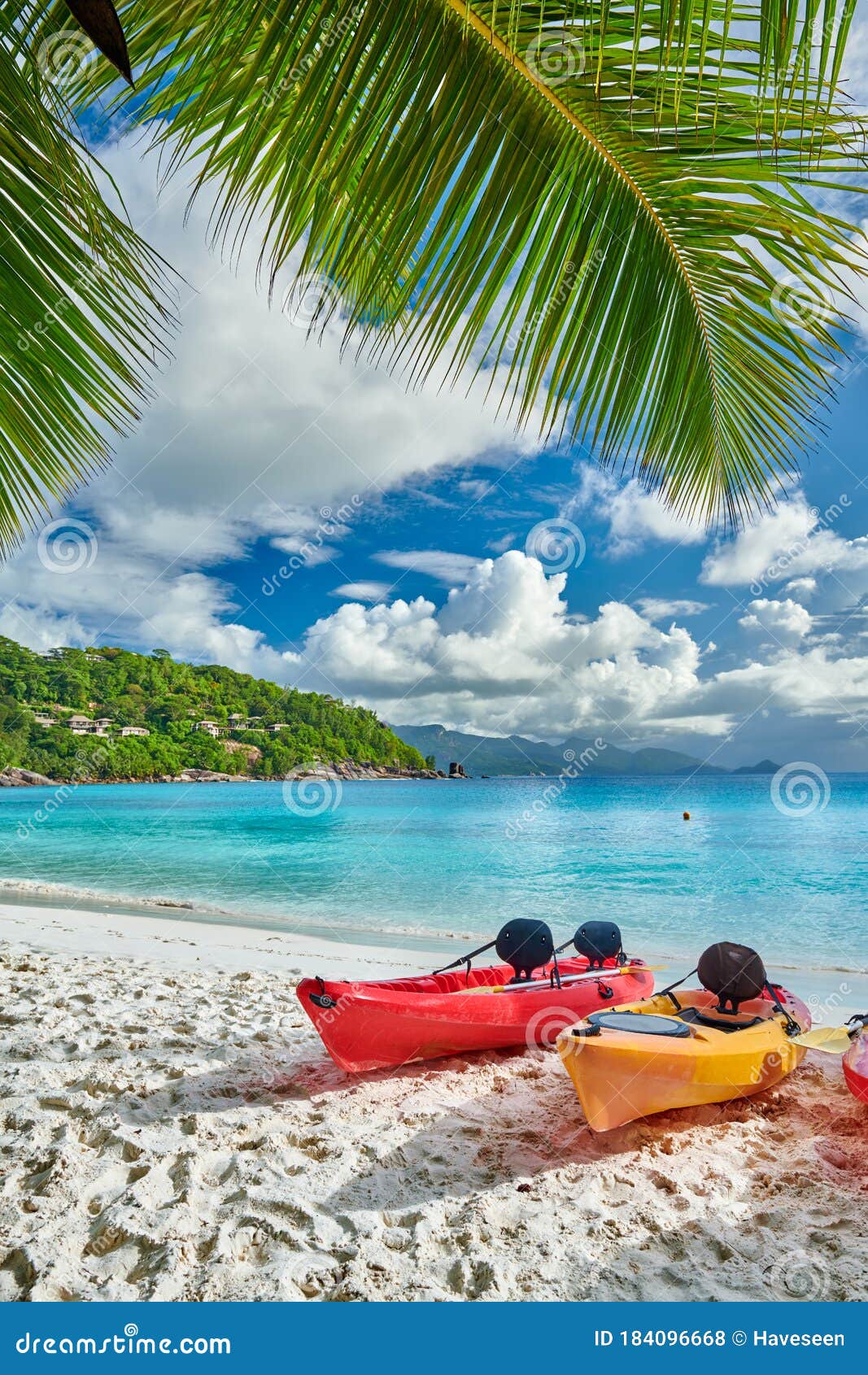 Beach with Kayaks and Palm Tree at Seychelles Stock Photo - Image of ...