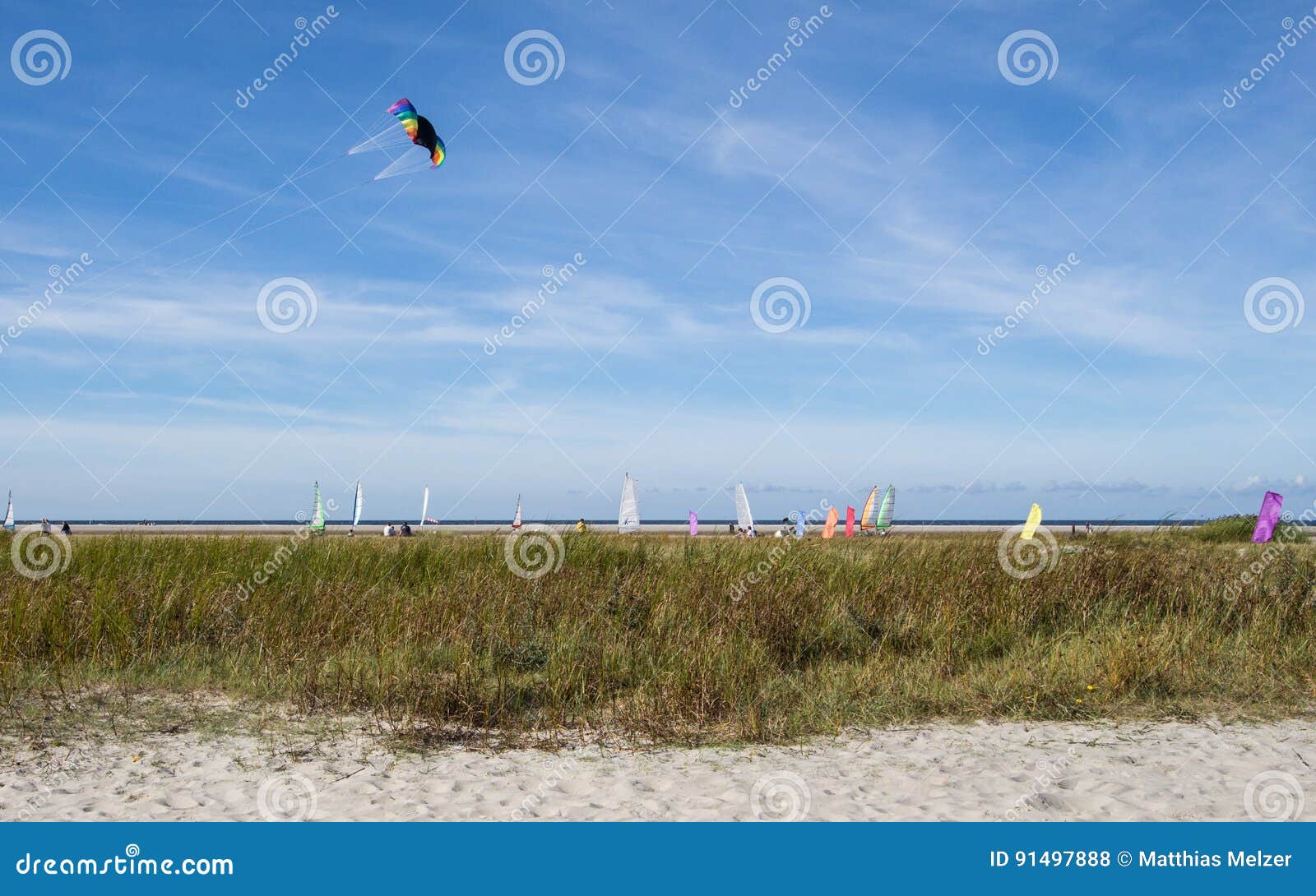 beach with kites at schiermonnikoog
