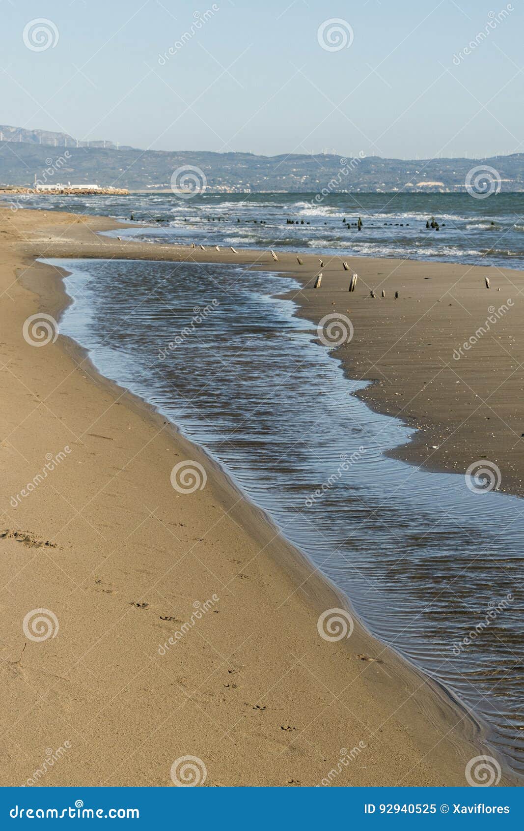 beach of la marquesa, deltebre, delta de l`ebre, tarragona, cata