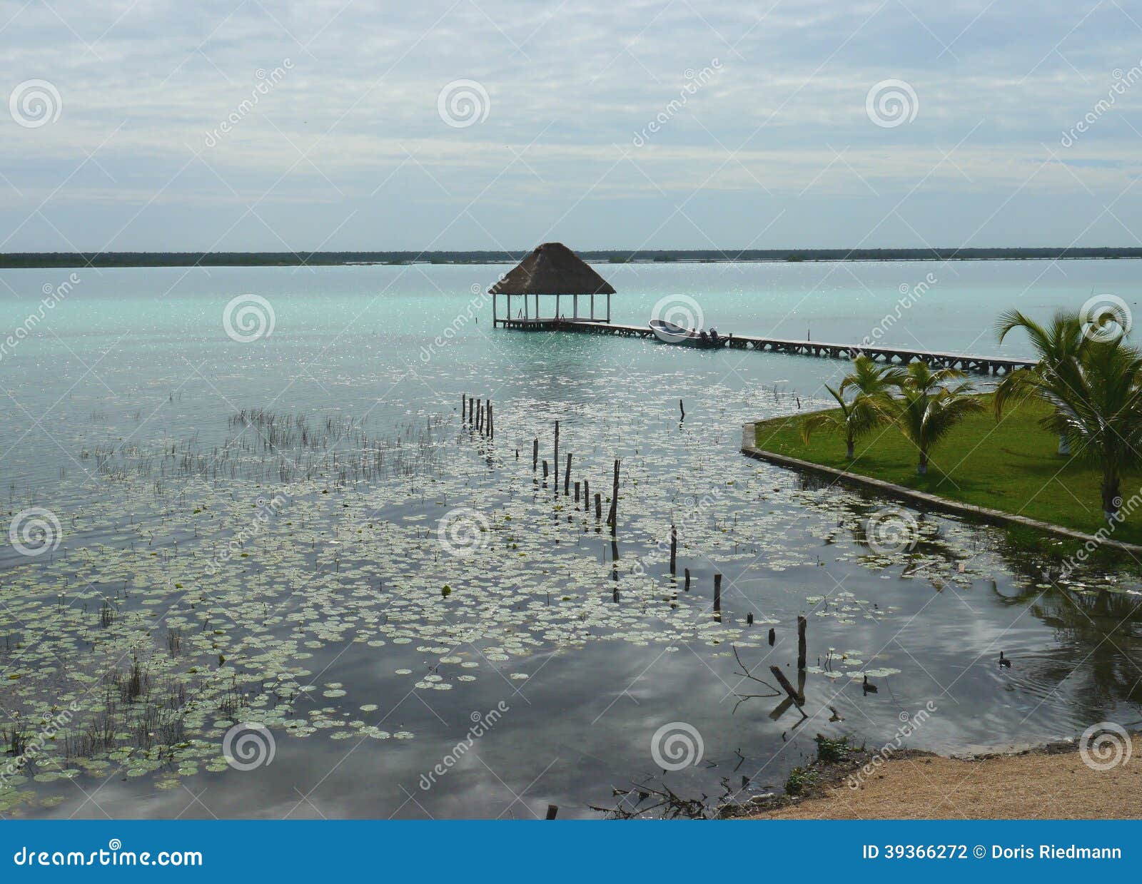 Beach Lagoon Bacalar Mexico Lake Panorama Hut Stock Photos Free