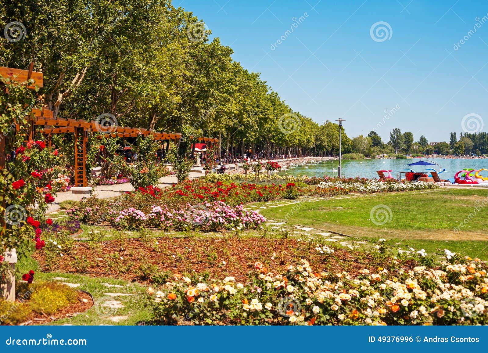 beach lake balaton flower garden balatonfured hungary 49376996