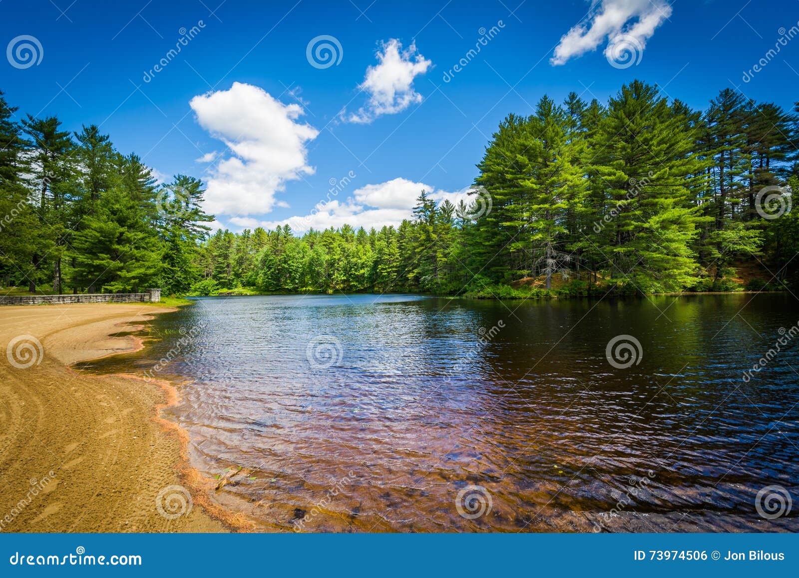 beach on a lake at bear brook state park, new hampshire.