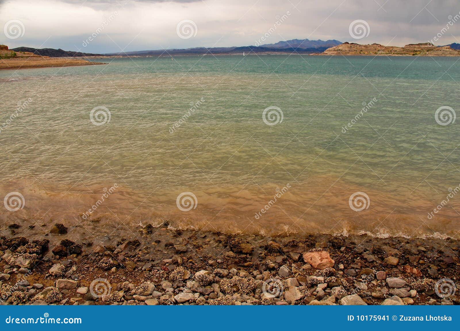 Beach of the Lake Mead stock image. Image of mountains 10175941