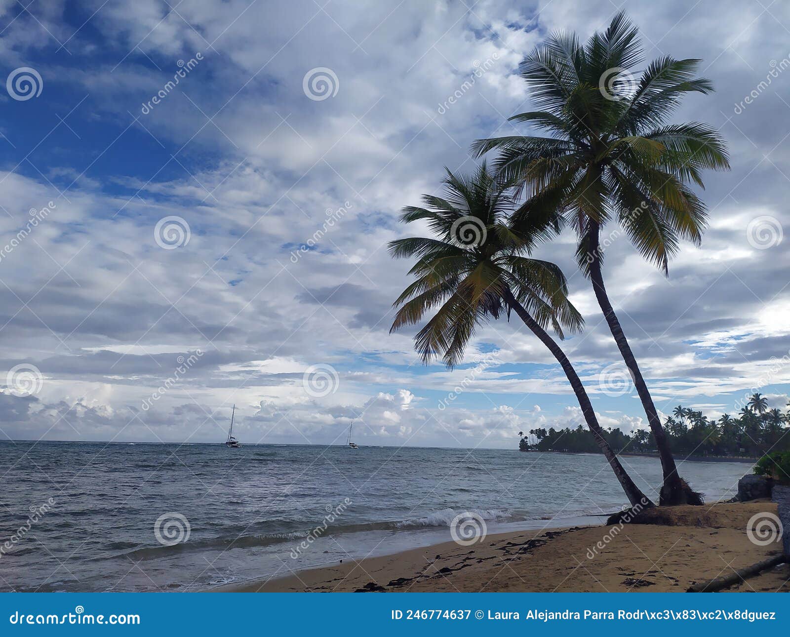beach landscape with sailboats and palm trees