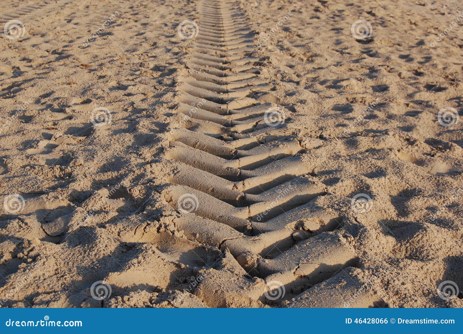 beach mark