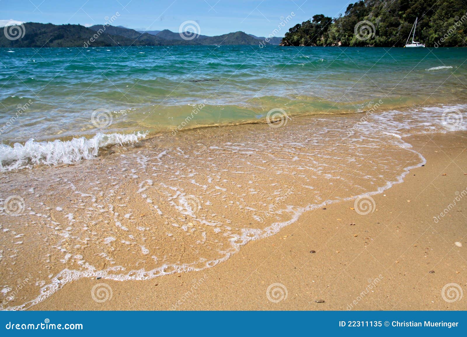 Beach in the Marlborough Sounds Stock Image Image of sunny, track