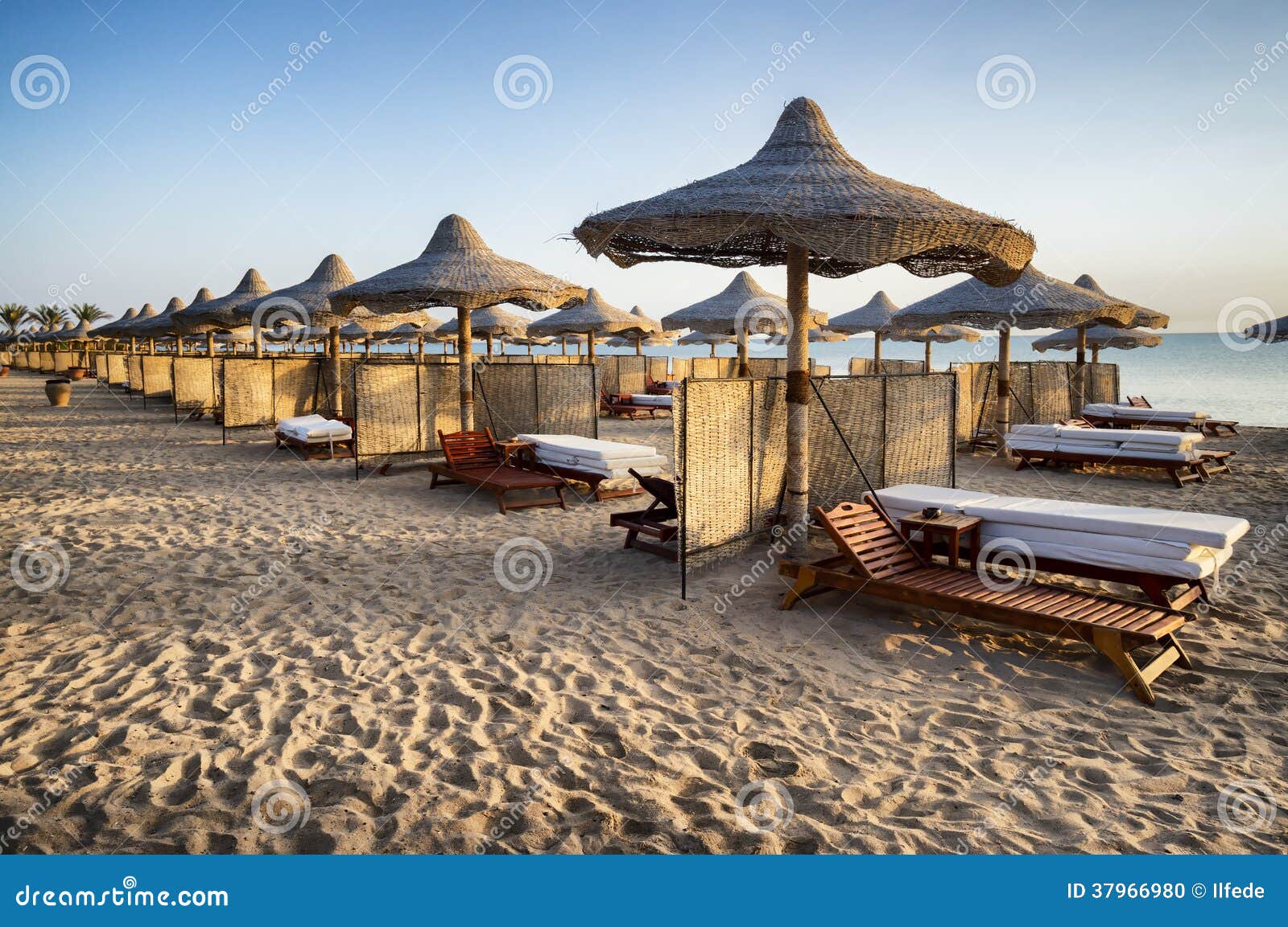 beach in marsa alam, egypt