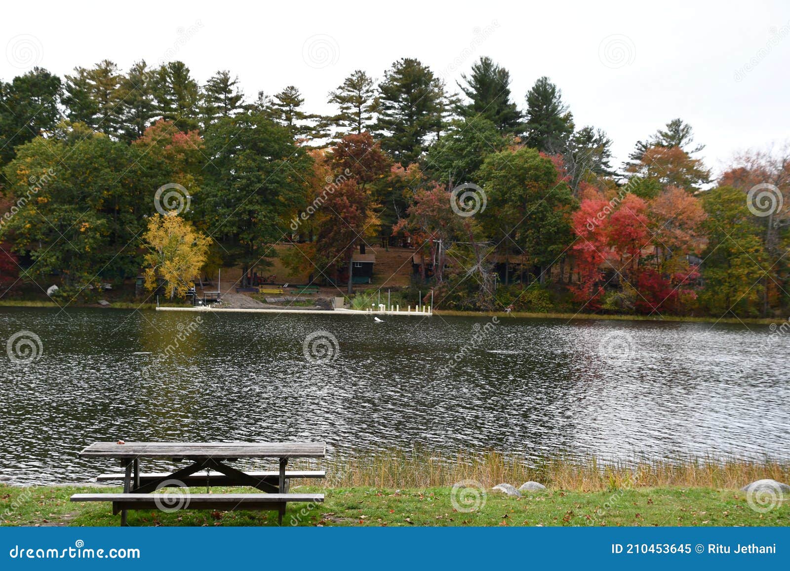 Beach at Mount Tom State Park in Washington, Connecticut Stock Image Image of mount, peeping