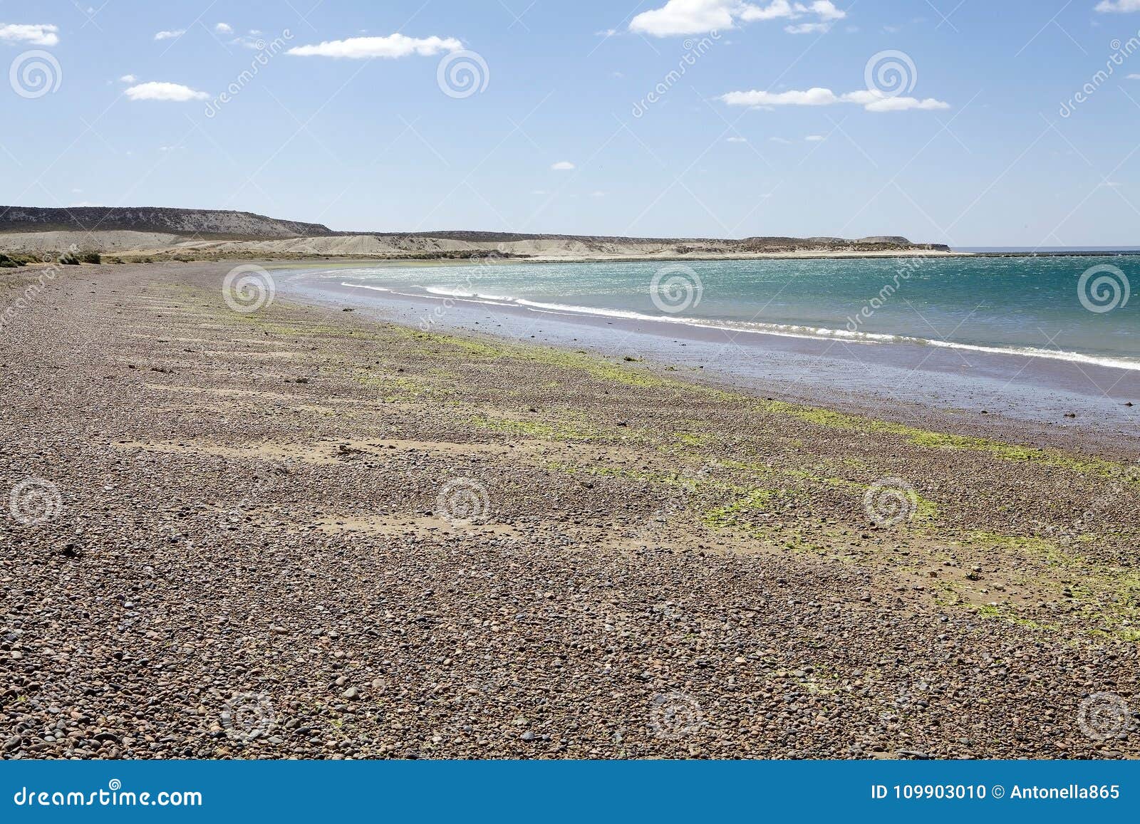 beach near puerto madryn, a city in chubut province, patagonia, argentina