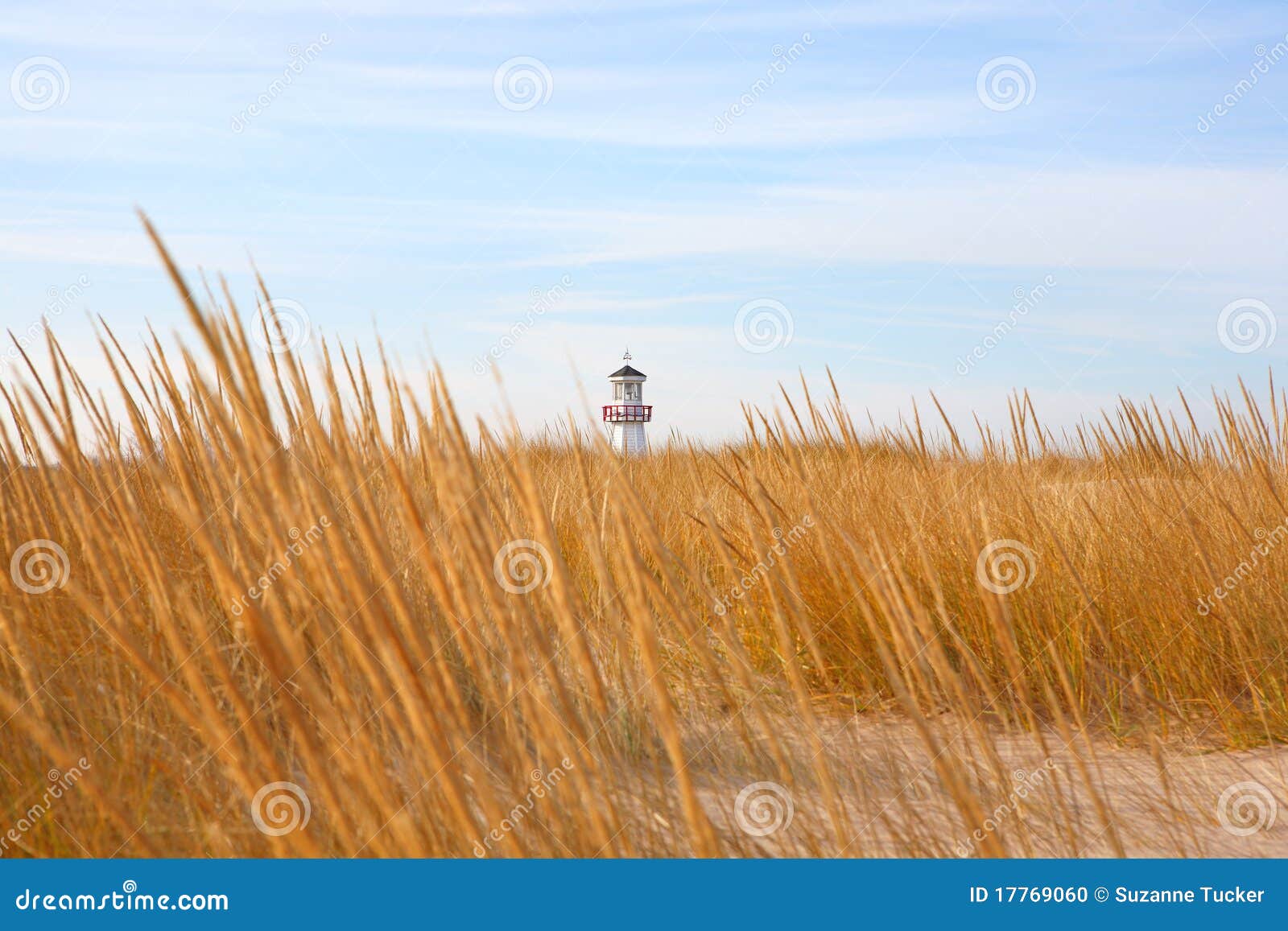 Beach in New Buffalo, Michigan Stock Photo Image of seashore, resort