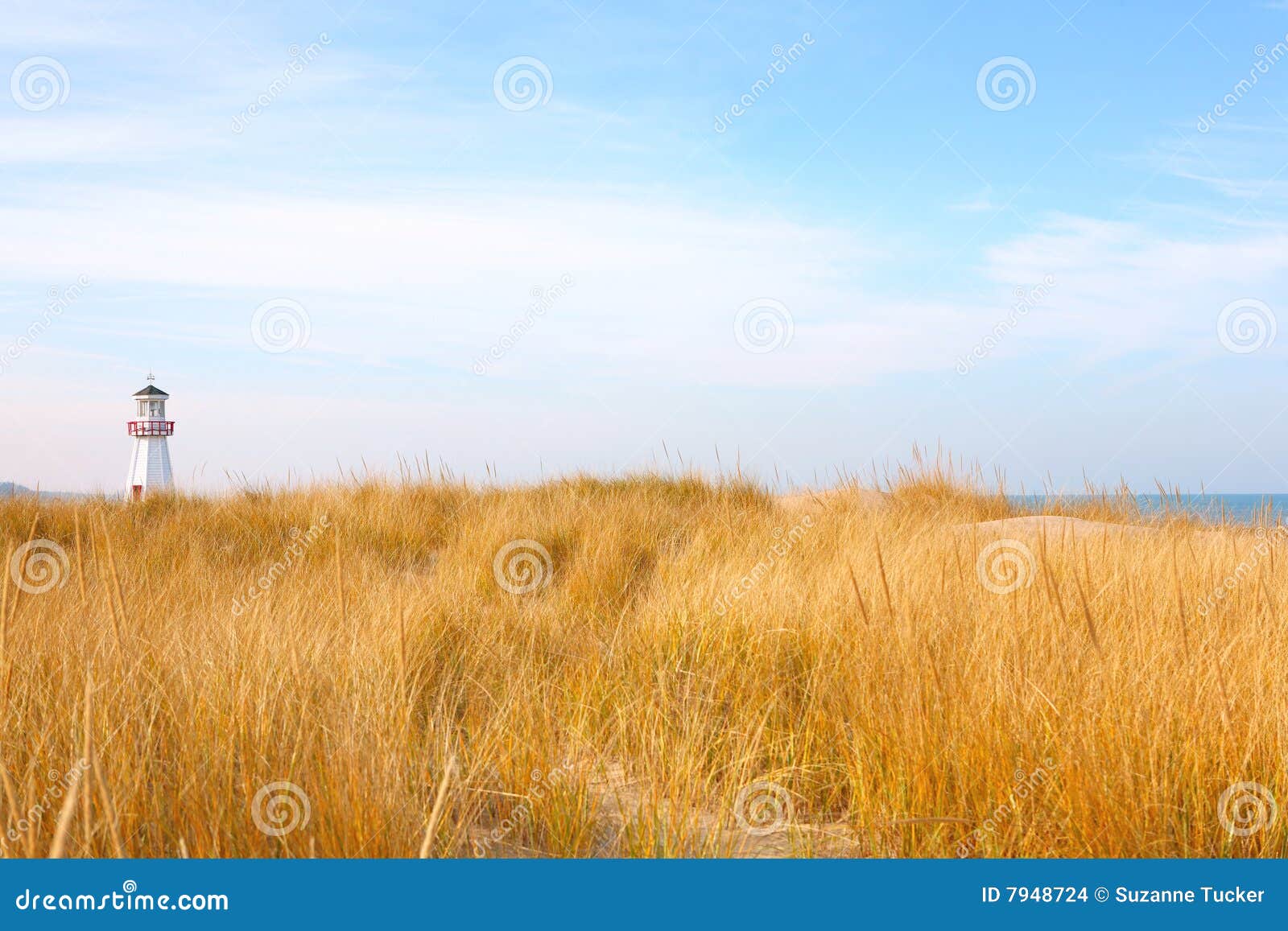 Beach in New Buffalo, Michigan Stock Photo Image of paradise, buffalo