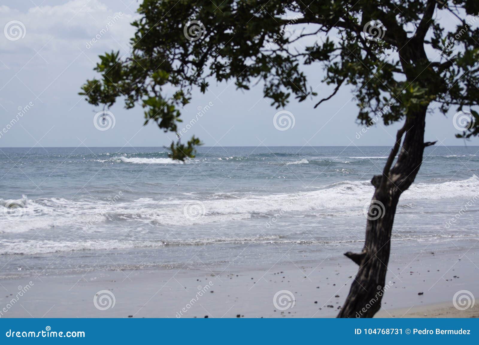 beach nosara in guanacaste costa rica