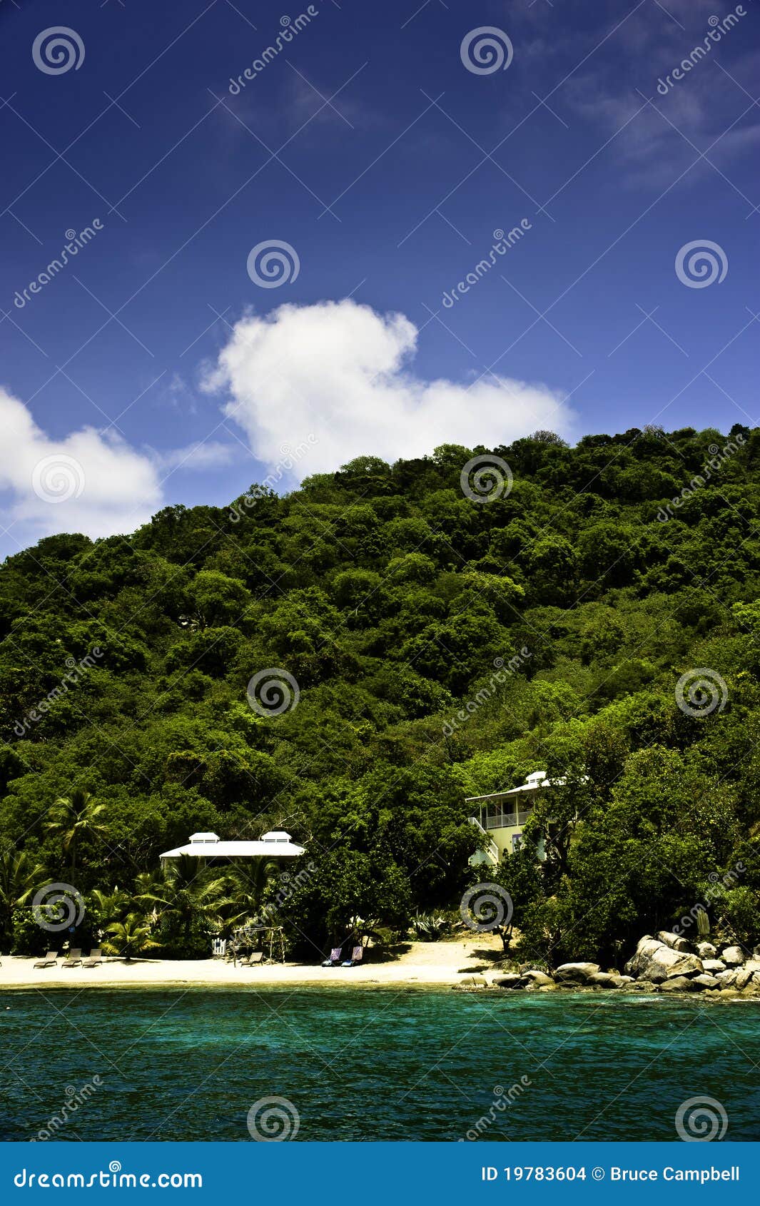 The beach on Peters Island stock photo. Image of british 19783604