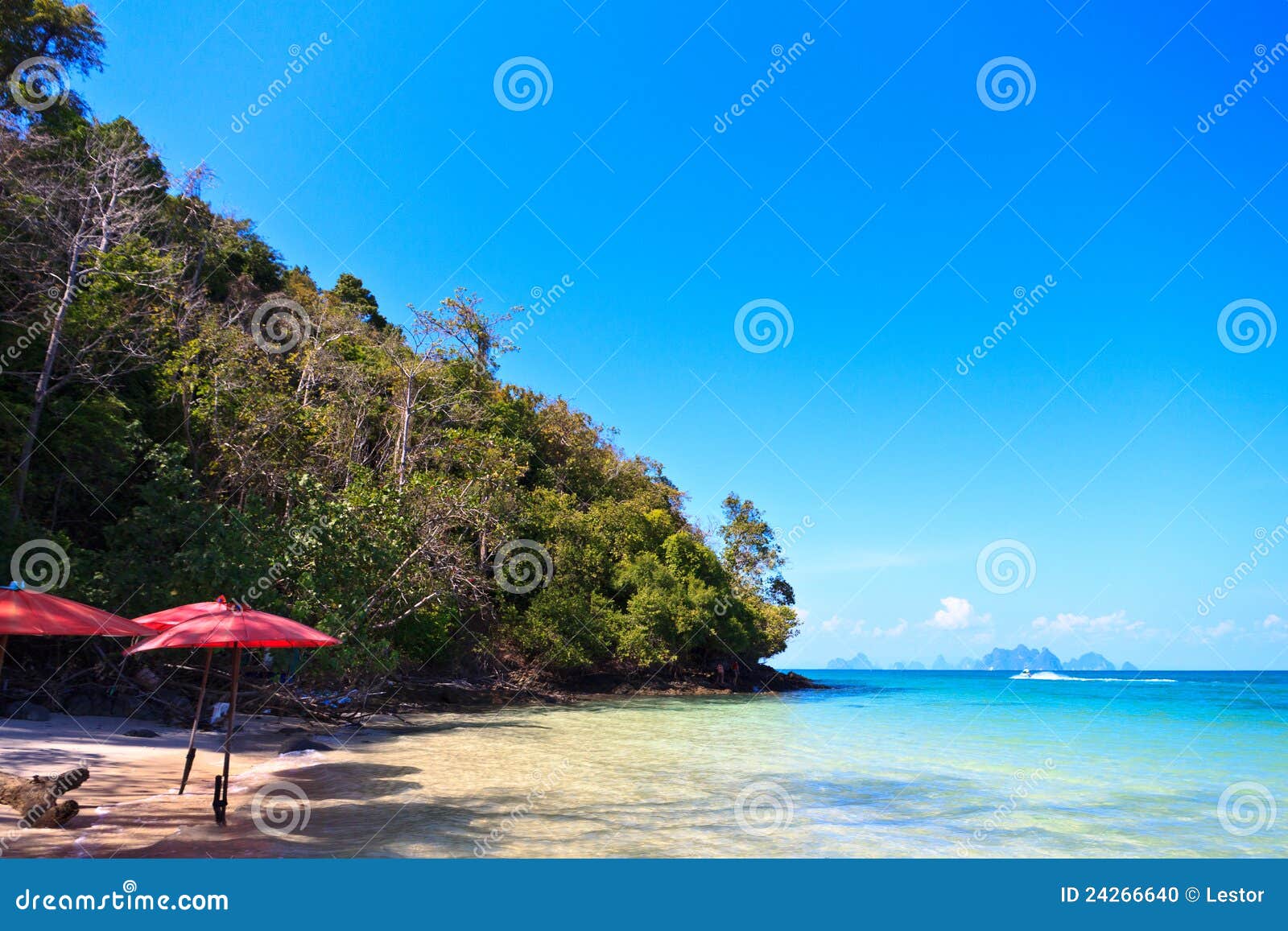 beach in a phang nga bay