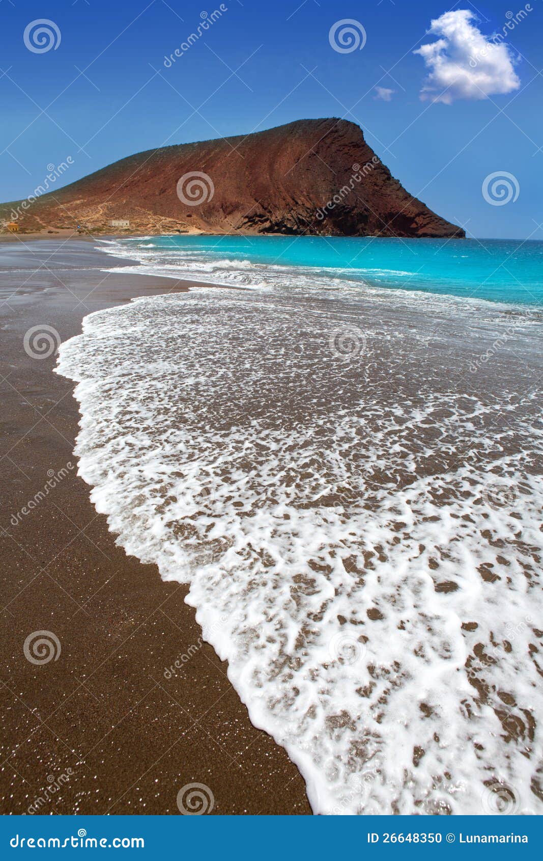 beach playa de la tejita in tenerife