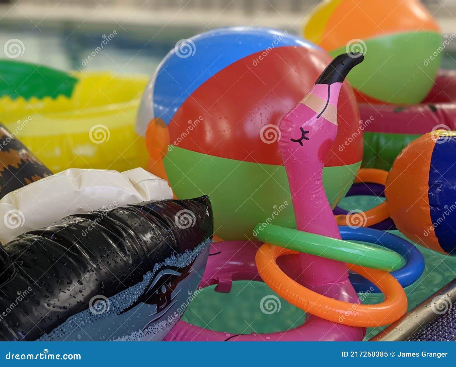 beach and pool inflatables floating in the swimming pool water close up