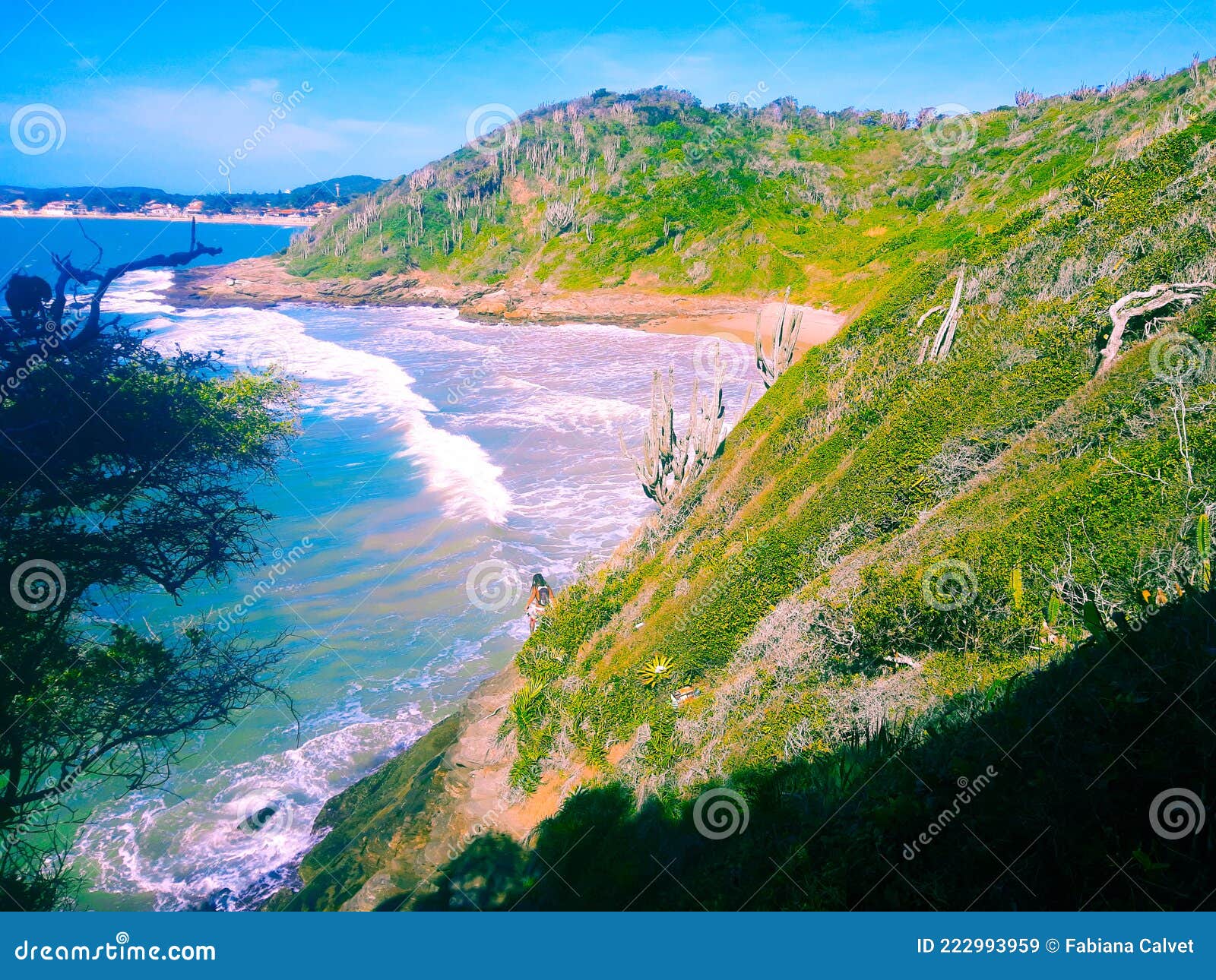 beach praia dos amores, trail, bÃÂºzios, brazil - 2021