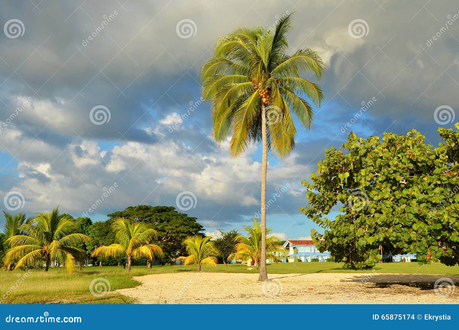 beach rancho luna, cienfuegos in cuba