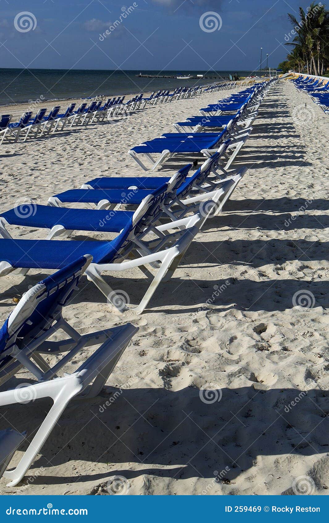 Beach Recliners Picture. Image 259469