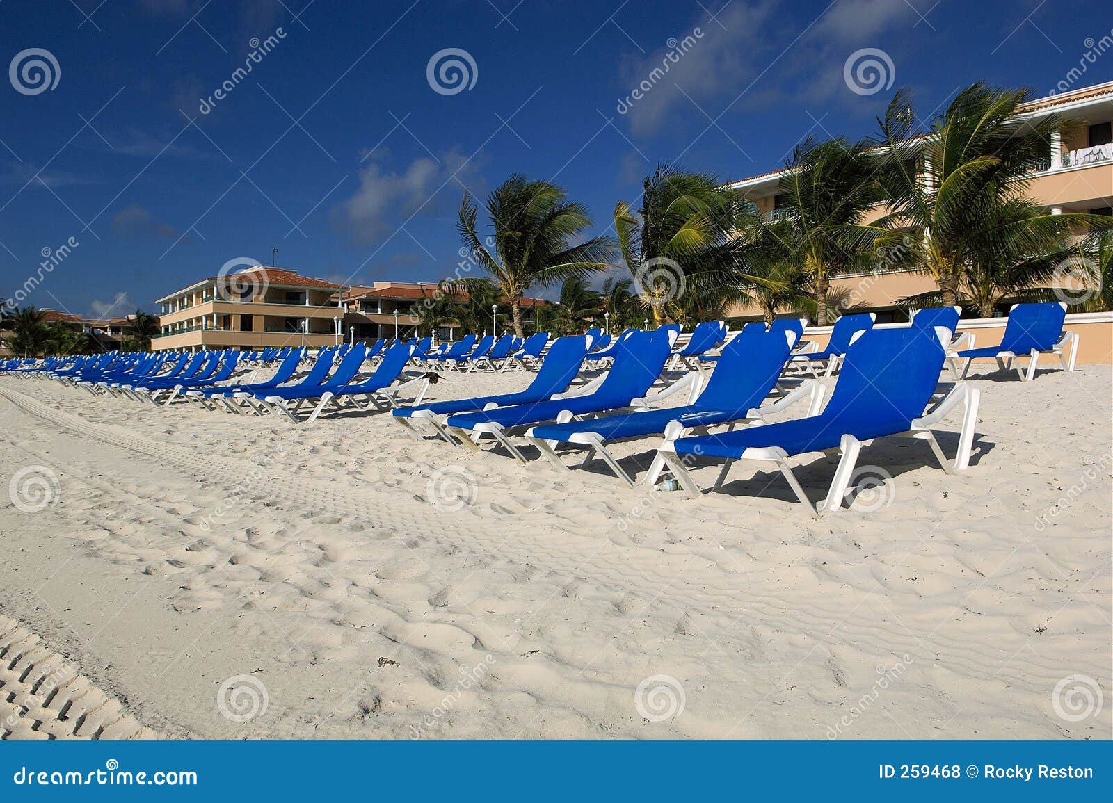Beach Recliners Near Resort Stock Photo Image of relax, riviera 259468