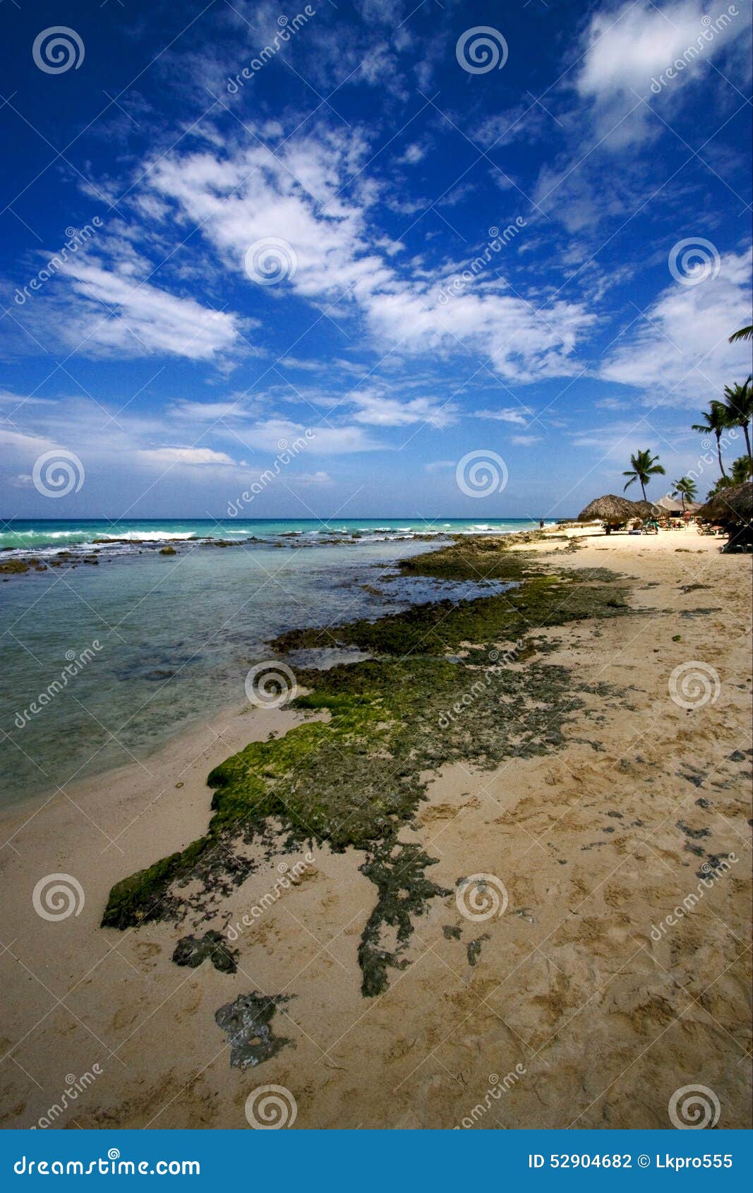 beach rock and stone cabin and palm in republica dominicana