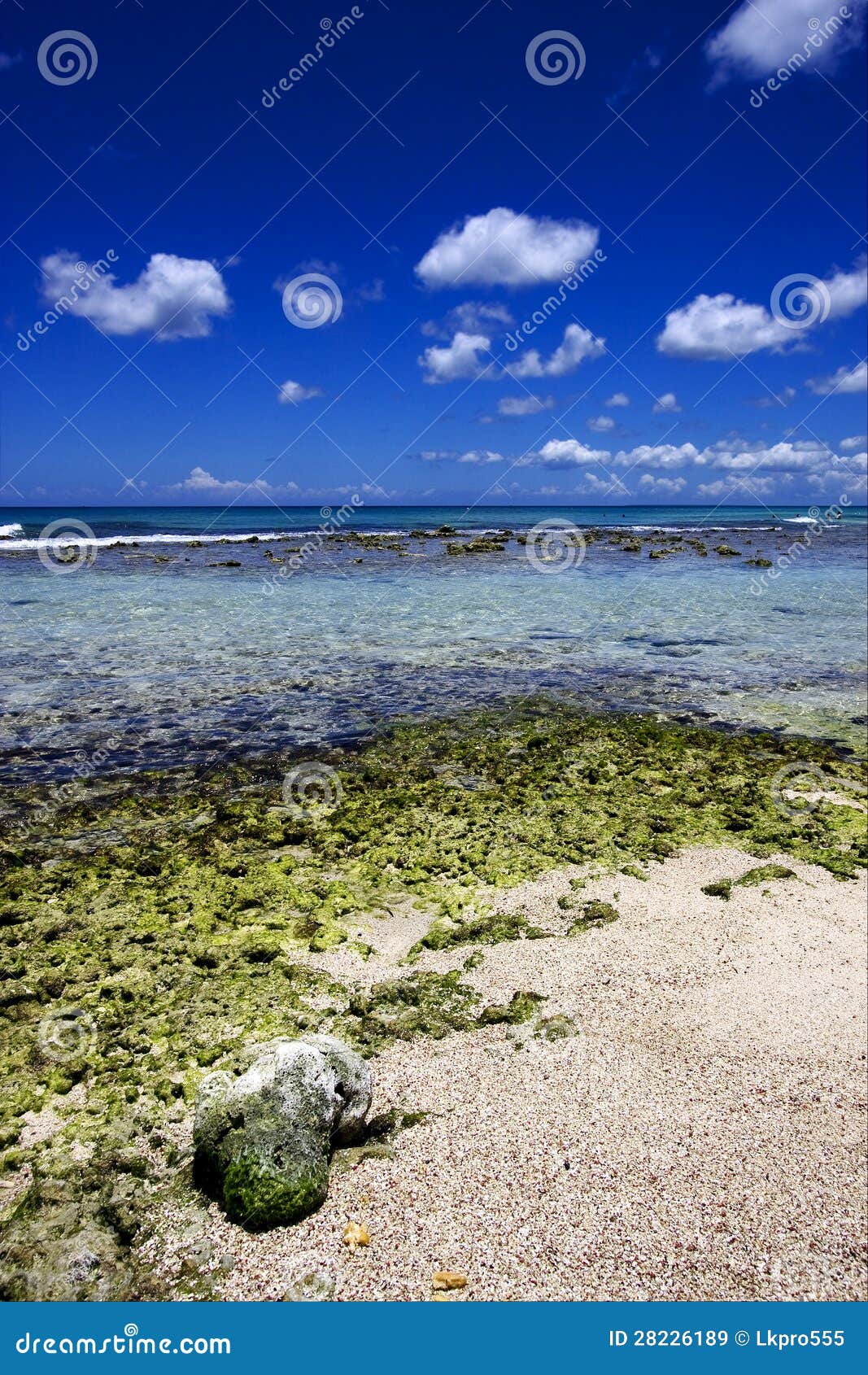 beach rock and stone in republica dominicana
