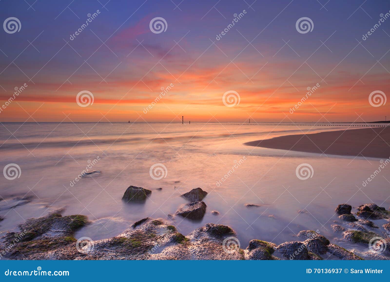 beach with rocks at sunset in zeeland, the netherlands