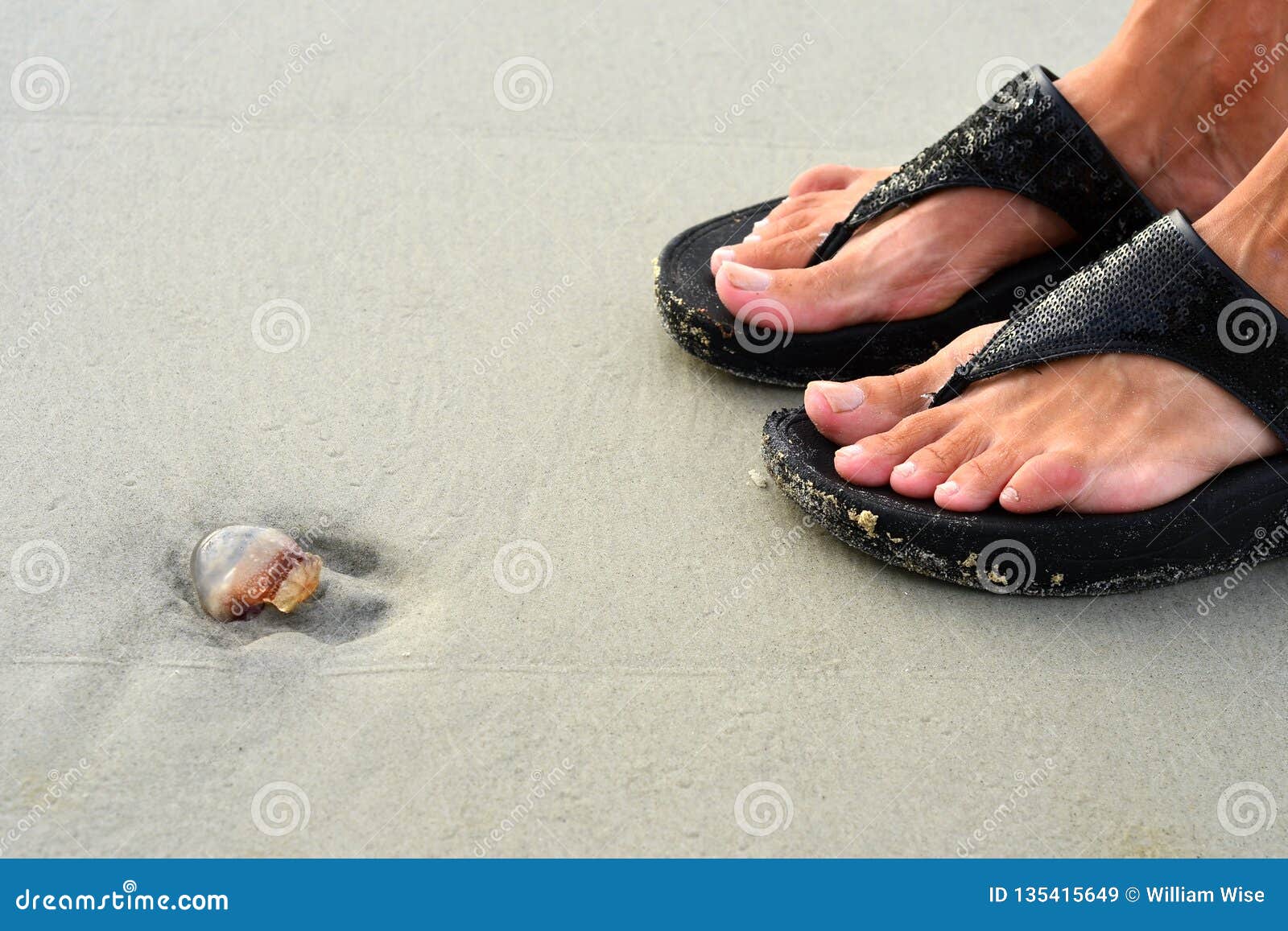 jellyfish sandals