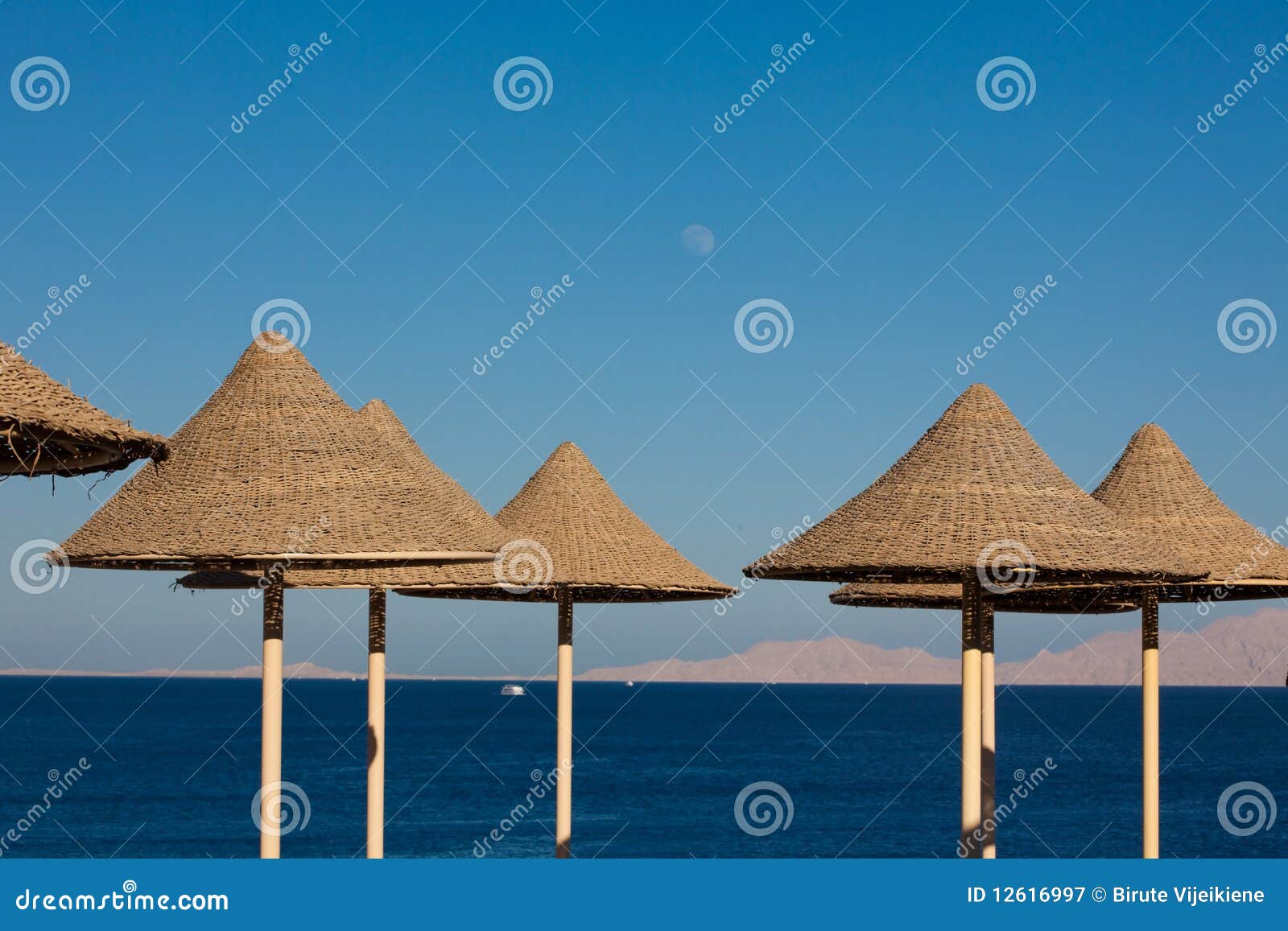 beach in sharm al-sheikh