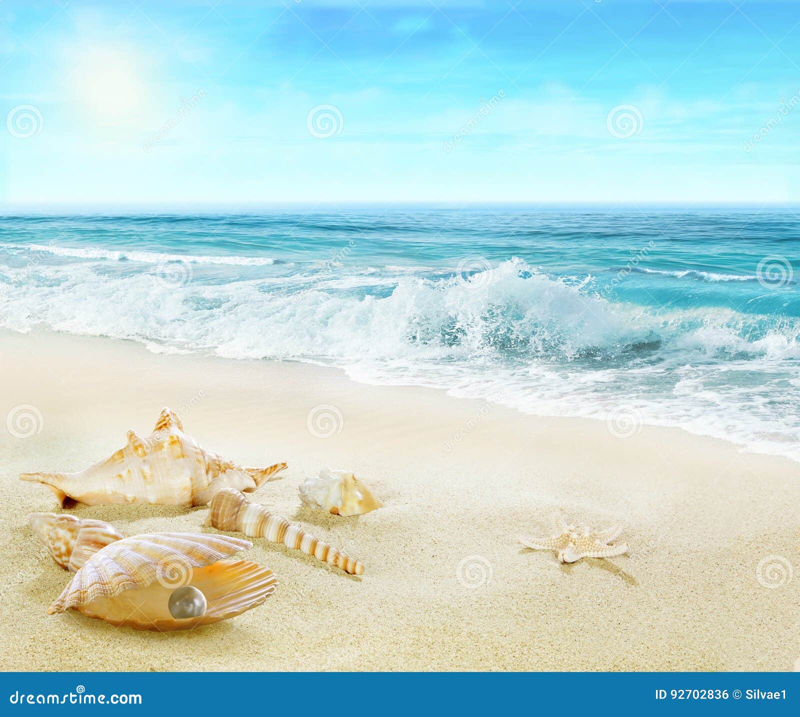 beach with shells and pearl.