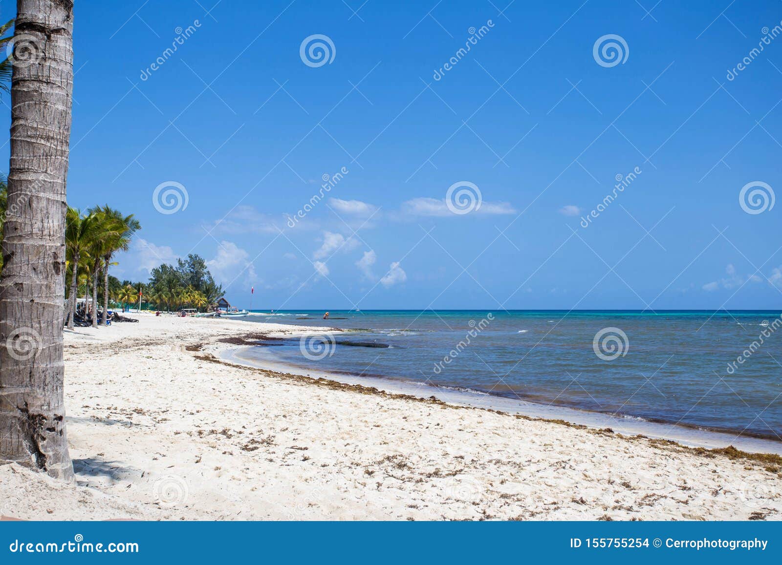Beach with Stranded Seaweed, Mexico Riviera Maya, March 2017 Stock