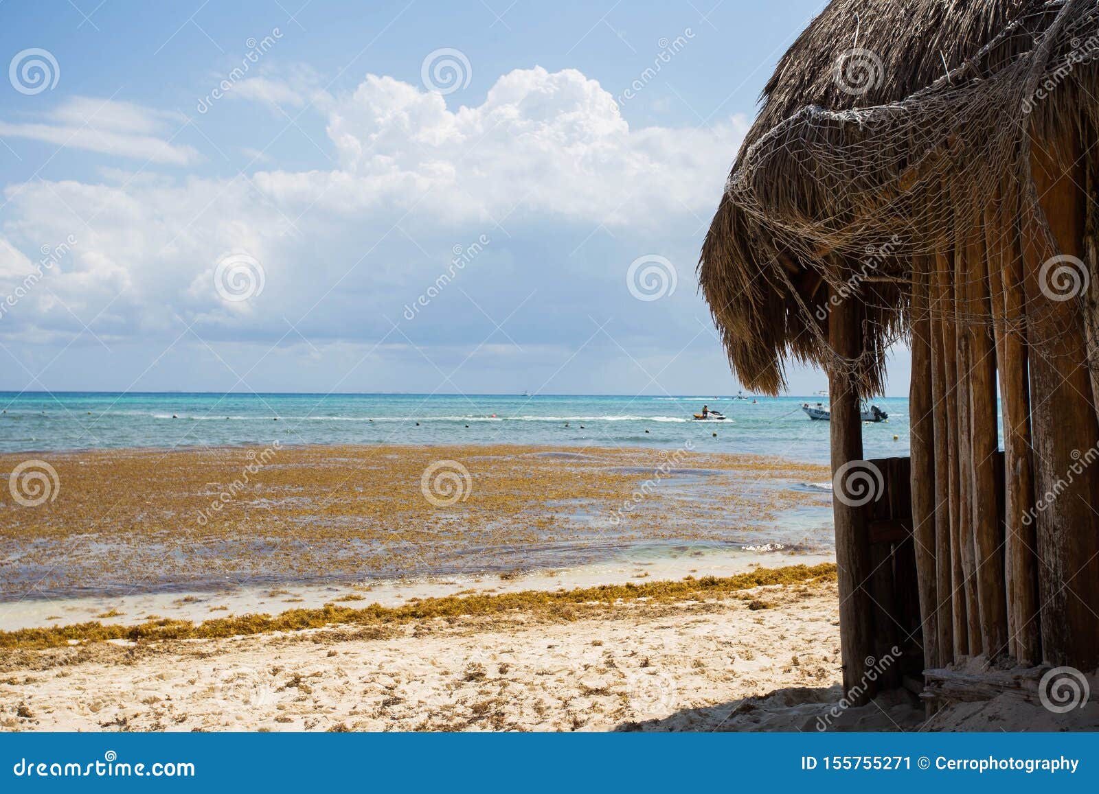Beach with Stranded Seaweed, Mexico Riviera Maya, March 2017 Stock
