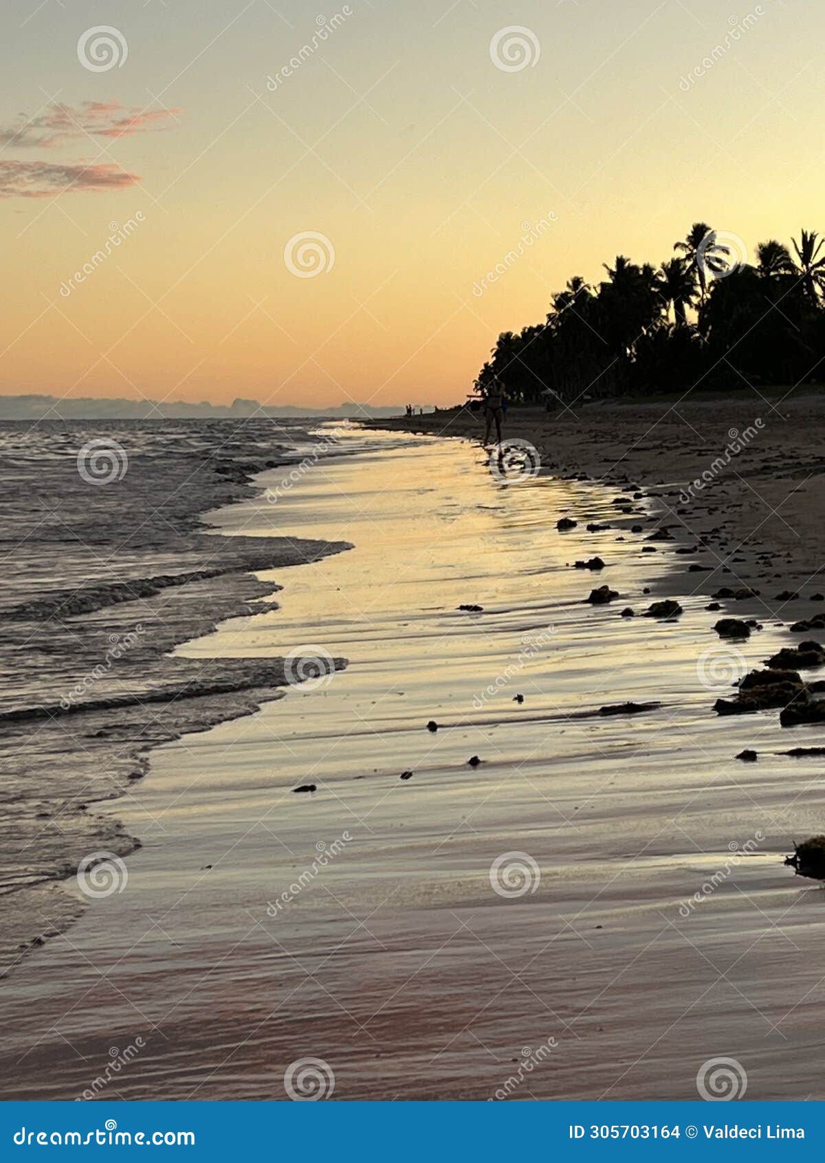 beach on sunset with light reflections on water