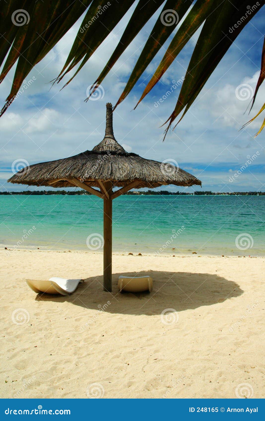 beach sunshade