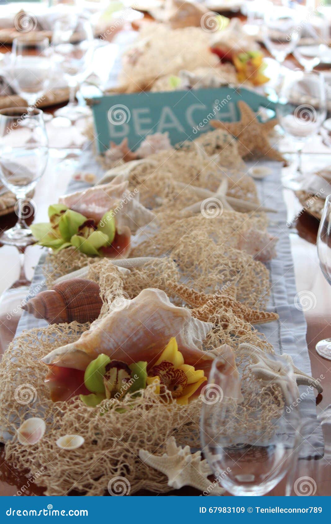 Beach Themed Decor for a Table Setting. Stock Image - Image of themed,  shells: 67983109