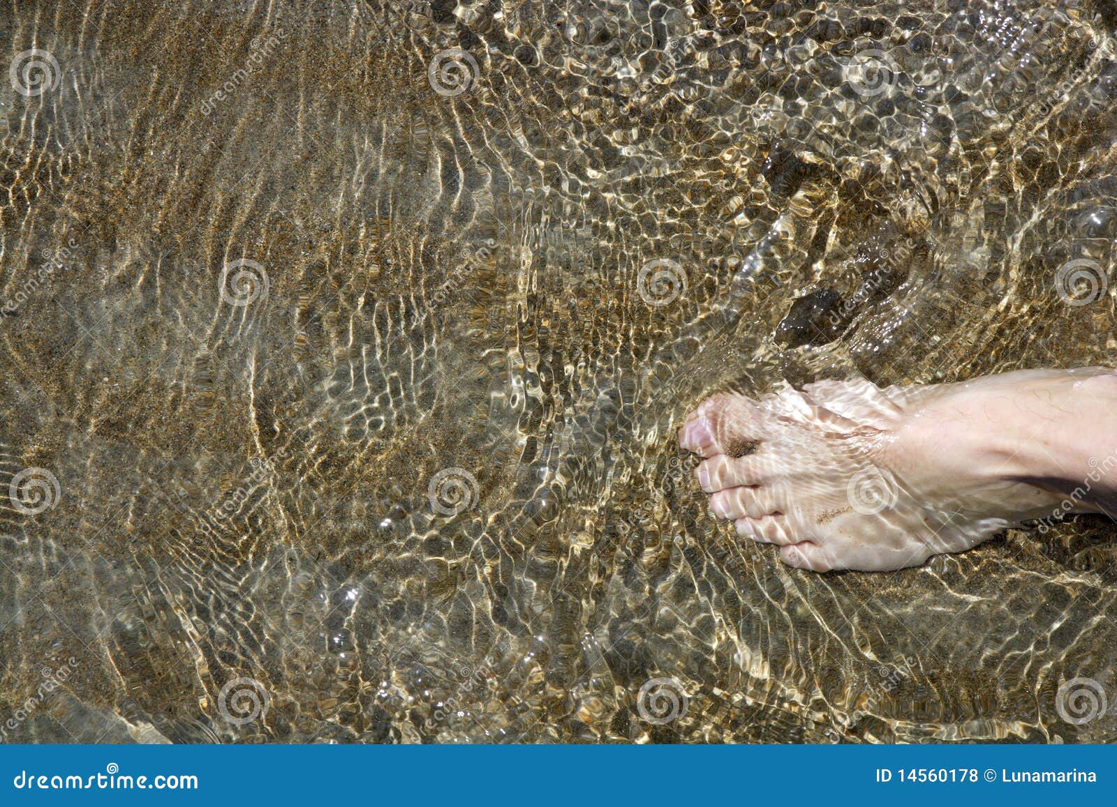 beach tourist feet walking on shore shallow water