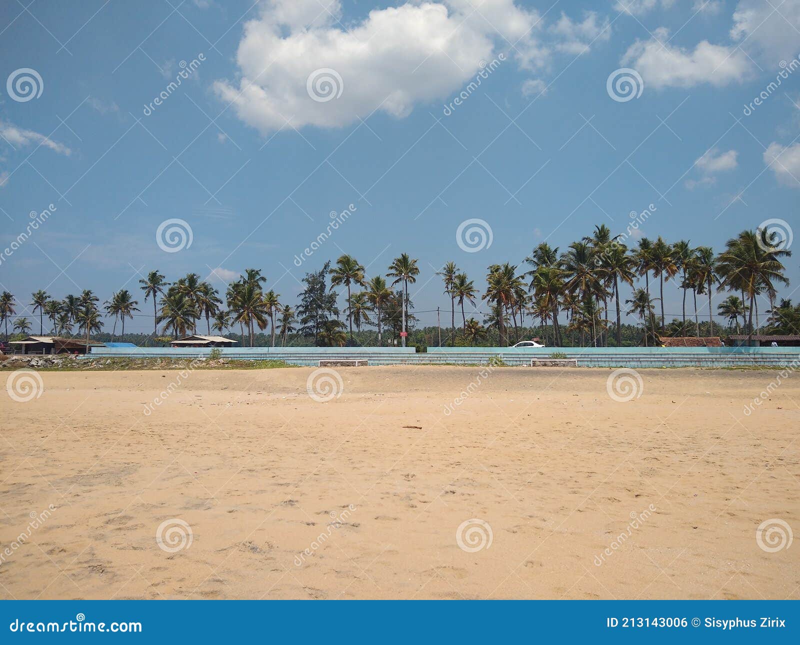 beach with trees, pozhikkara beach kollam kerala