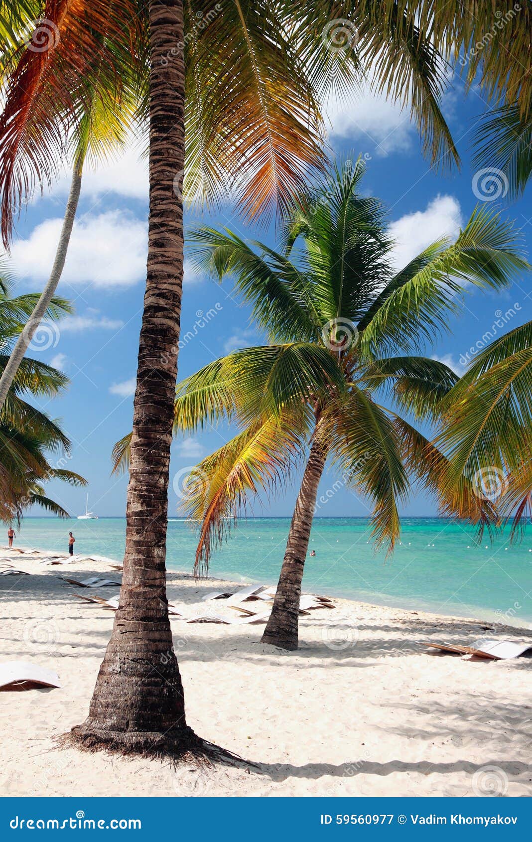 beach in tropics. isla saona, la romana, dominicana
