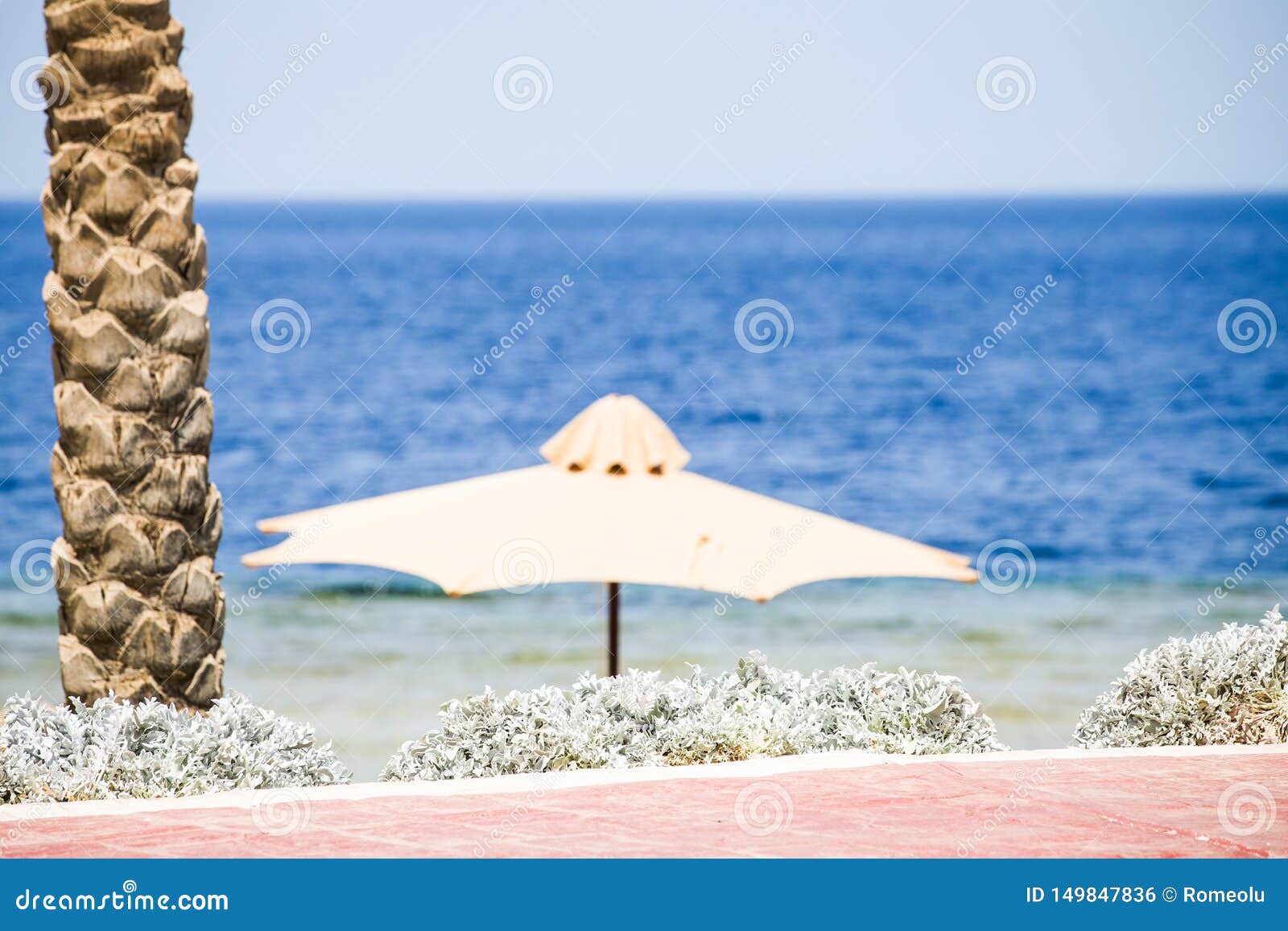 Beach Umbrella Relaxing Summer Vacation Stock Photo Image of parasol